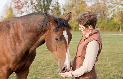 EAGALA Method Equine Assisted Counseling in Rexburg